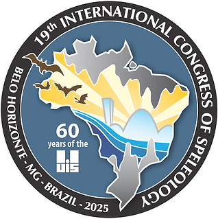 19th ICS