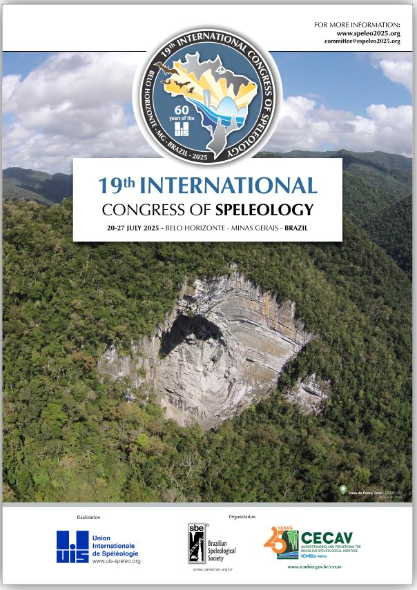19th ICS